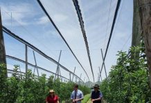 Funding to protect fruit