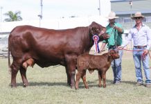 Queen B is Miss World