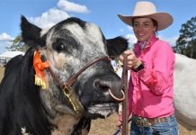 Proston Show hosts State finals