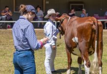 Show spirit shines through southern Queensland