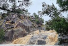 Rabobank support measures for flood-affected farmers