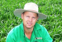 Regenerating interest