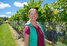 Where opportunities dawn