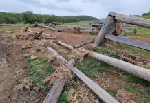 Forever wet, burnt, thirsty