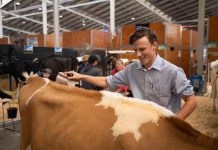 Wade makes the podium at Easter Show