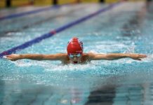 Sharks pool of talent