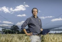 Game-based learning no child’s play for grower training project