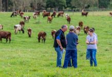 Grant ‘life changing’