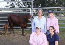 Generations of opportunity in agribusiness