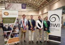 Merino breeders sashed in Sydney