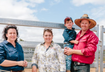 How the Clearys built their bull enterprise