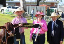 Santa a show stopper