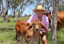 Passionate about Brahmans