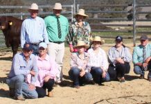 Record-breaking month