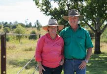 Looking to the future