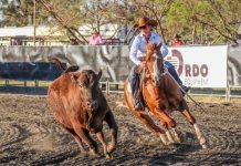 Sixteenth time’s a charm for Louise