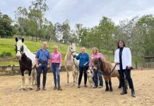 Horses for (uni) courses