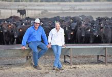 New era at The Grove