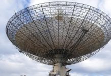 Curious eye to the sky