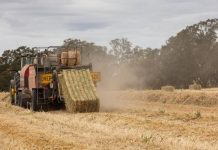 Being less diesel-reliant