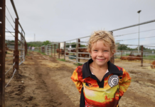 Big Country Sale Charters Towers