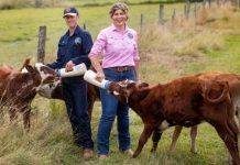 Leap of faith rewarded