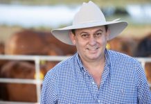 National backing for bid