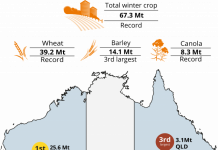 Record winter crop production in Australia