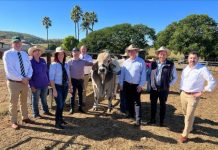 Count down is on for beef