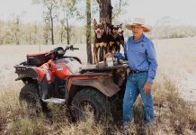 Working dog health tips