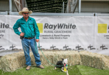 New $33,000 working dog