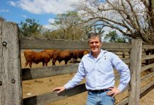 AgForce calls for urgent step change in ag education