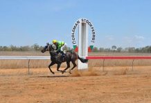 Racing queensland’s new funding program