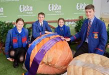 Historic win! Pump-Kings pipped by pupils