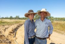 Building farm resilience with goat expansion