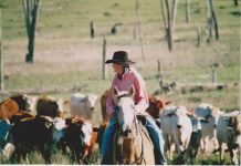 Lisa Hewitt joins Elders in Qld, NT leadership role