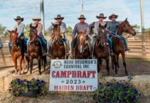 Nebo’s spurring campdraft