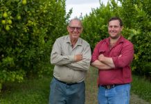 New packing machine sees citrus growers’ expansion come to fruition