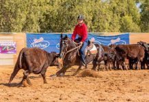 Time trials, cutting and patterns