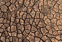 Rural Aid encourages farmer registrations as El Niño is declared