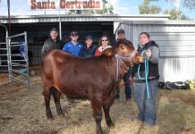 ’Head held high’