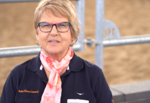 Bundaberg and Gayndah to host Rabo Client Council farm financial skills workshops