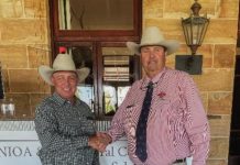 Repeat, volume buyers step up at NIOA RL bull sale