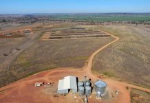 Rare livestock offering