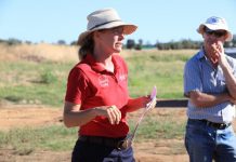 Cotton industry leader to lead CottonInfo into 2024 and beyond