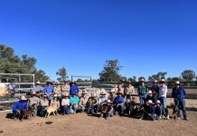 Leading lights of future