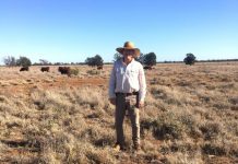 Top MSA producers announced