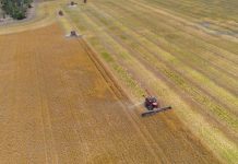 Blue-chip opportunity