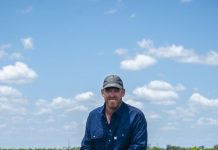 Aaron Kiely heads QFF