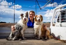 Champion changemakers